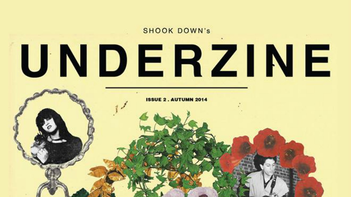 Shook Down Underzine 2: todos los detalles