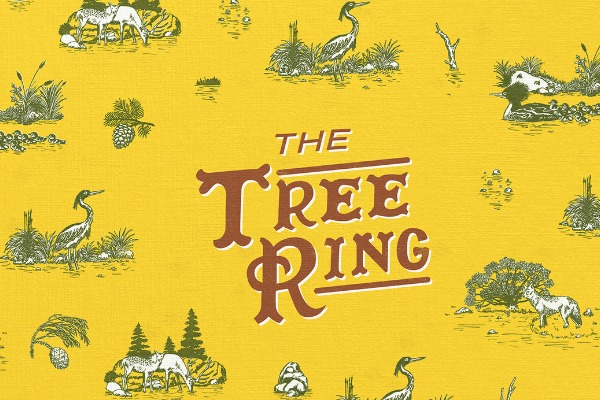 The Tree Ring anuncia disco y el fin de una etapa